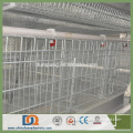 Trade Assurance A Frame Egg Chicken Cage Poultry Farm